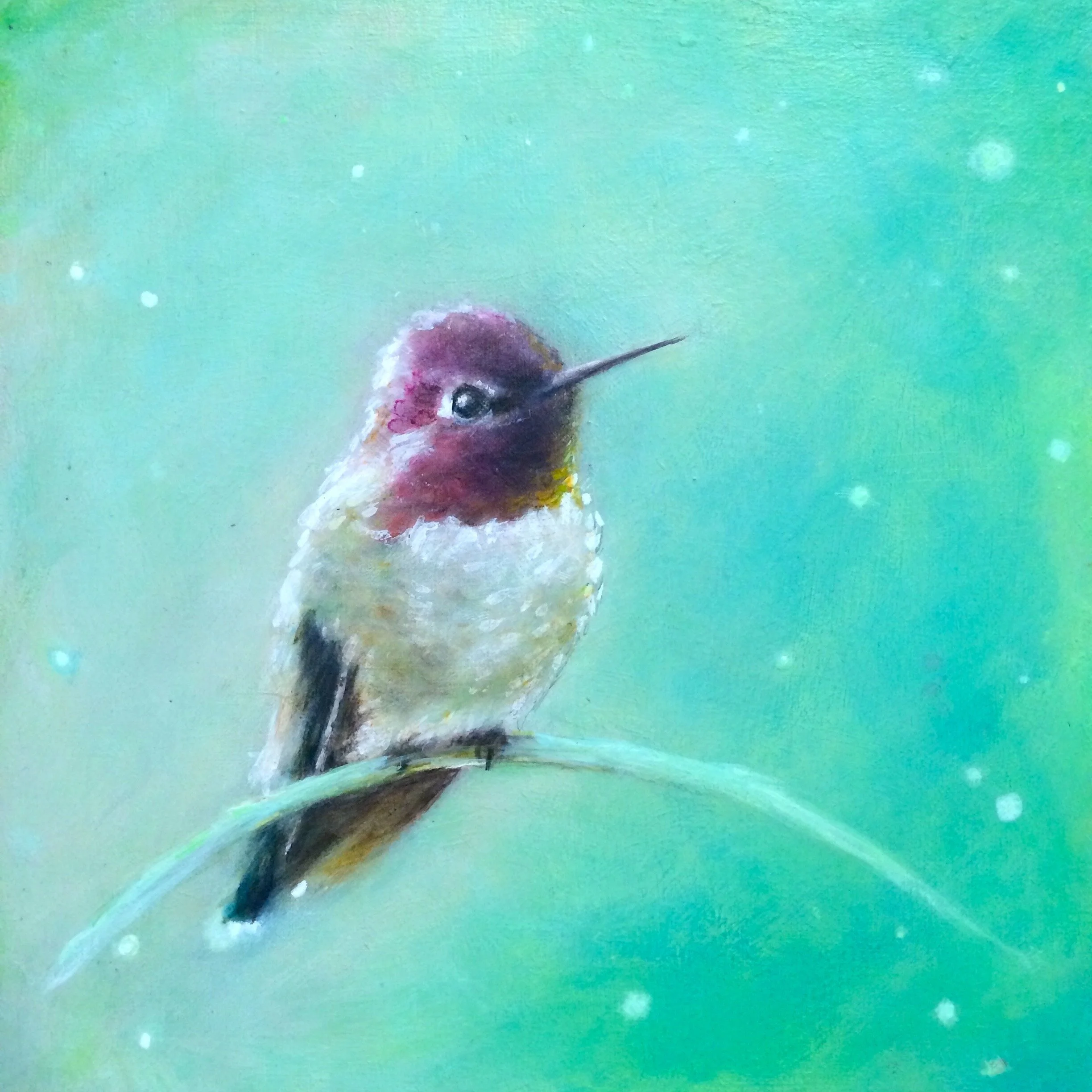 Little Hummingbird.JPG