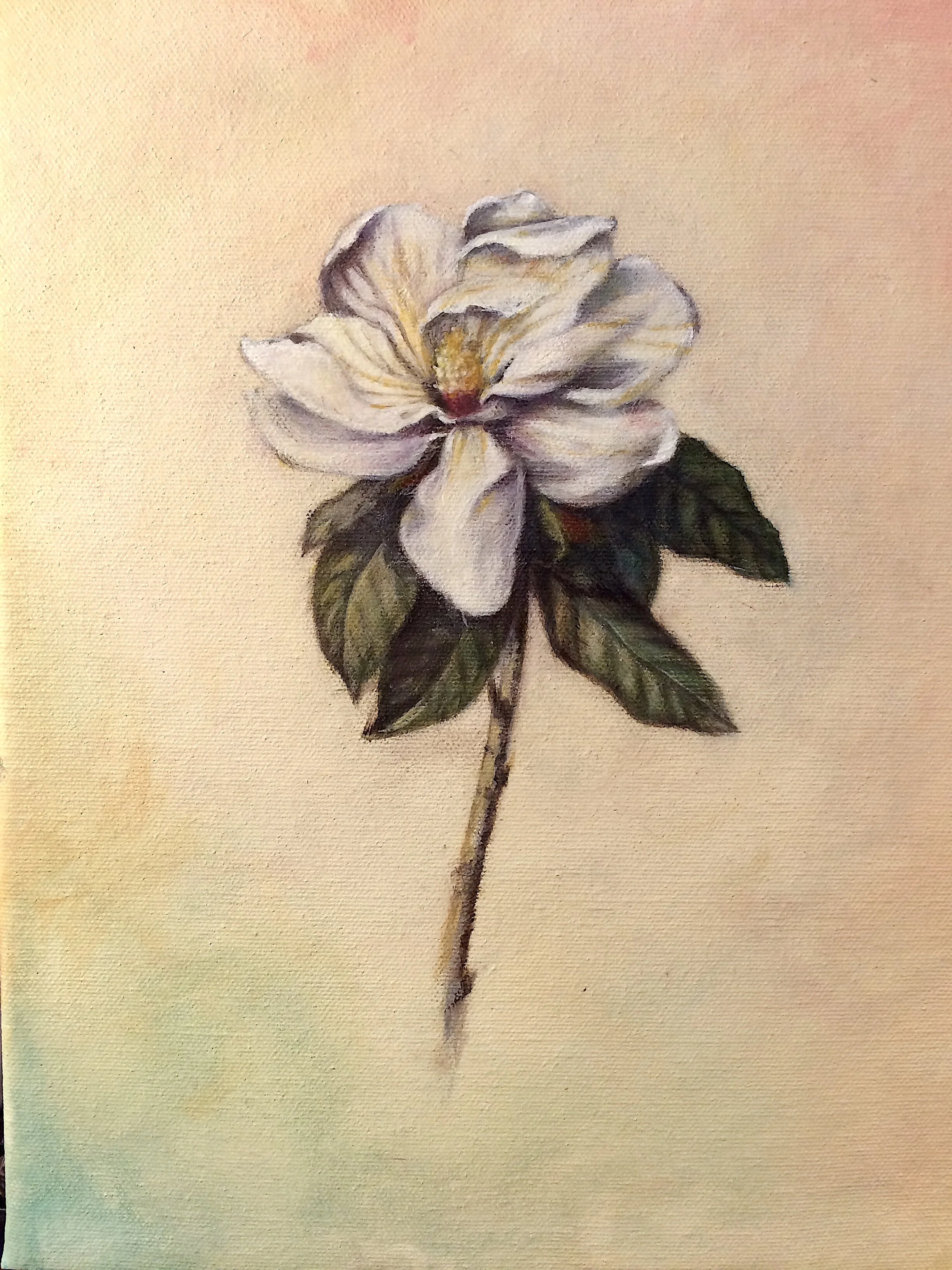 Magnolia .jpg