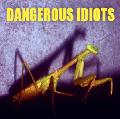 DANGEROUSIDIOTS-2011-cover.png