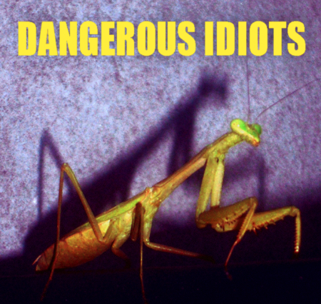 DI-DANGEROUSIDIOTS-OrigPressing-Cover.png