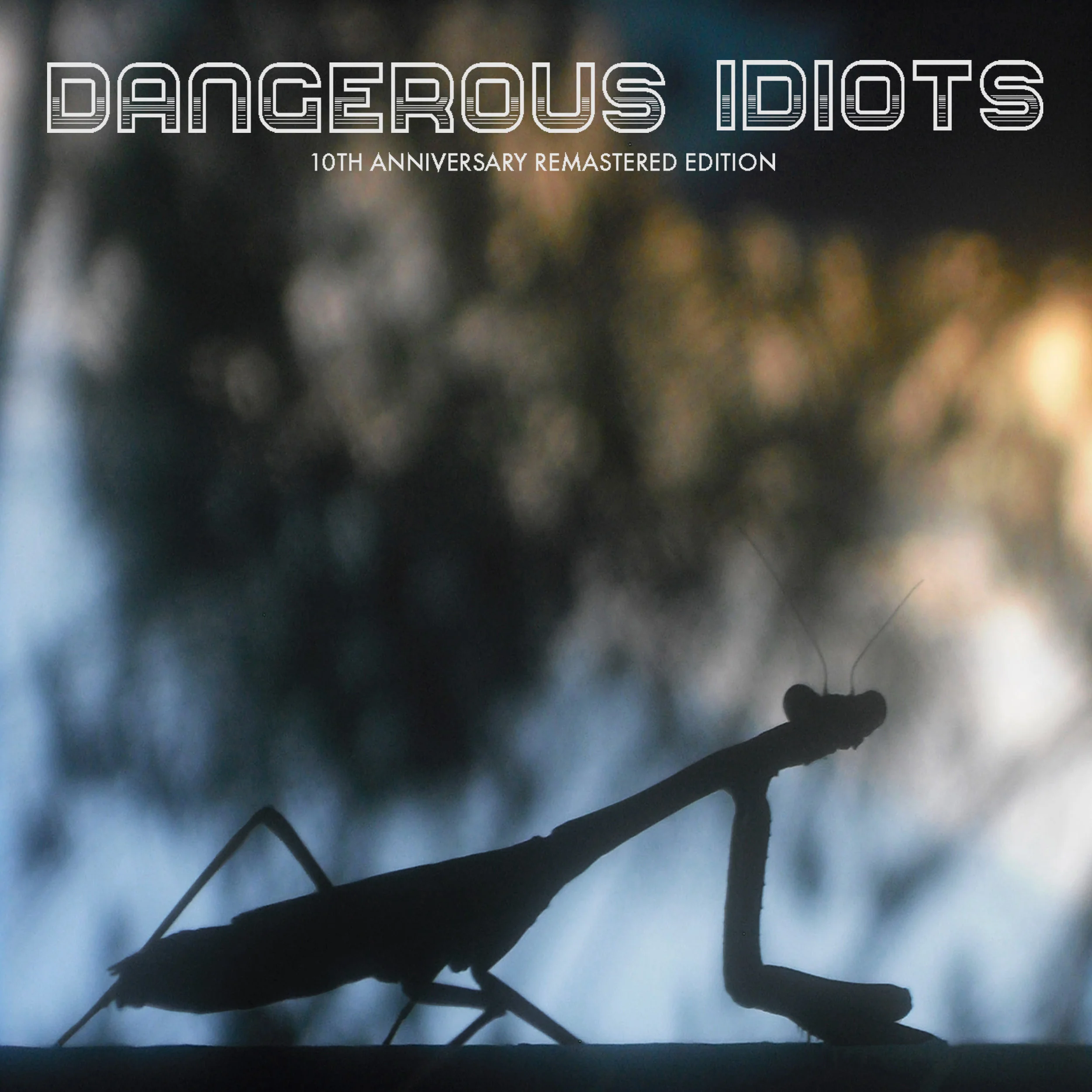 DANGEROUSIDIOTS10thAnniversary-FrontCover-NoBorder.jpg