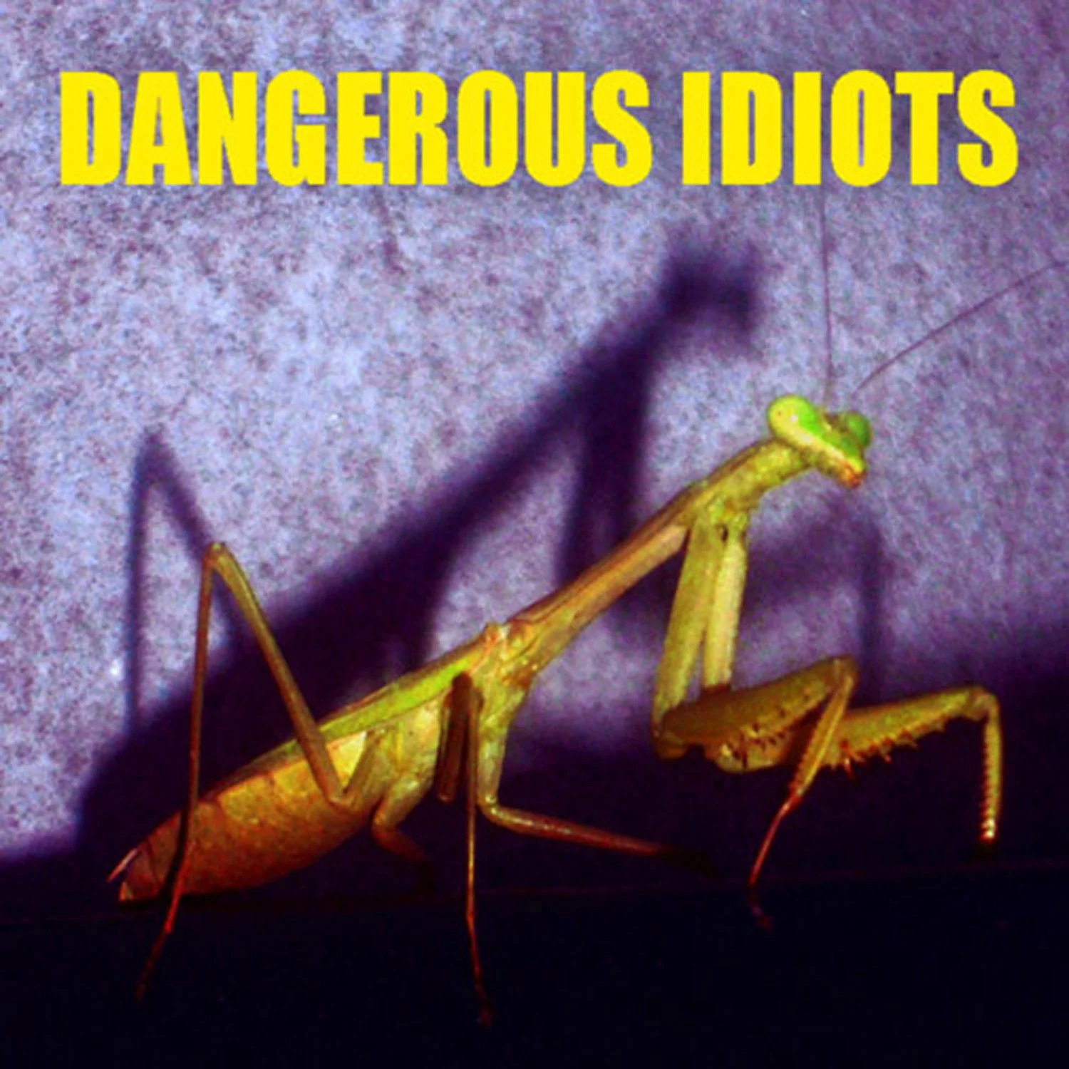 The Dangerous Idiots - Album cover - DANGEROUS IDIOTS.jpg