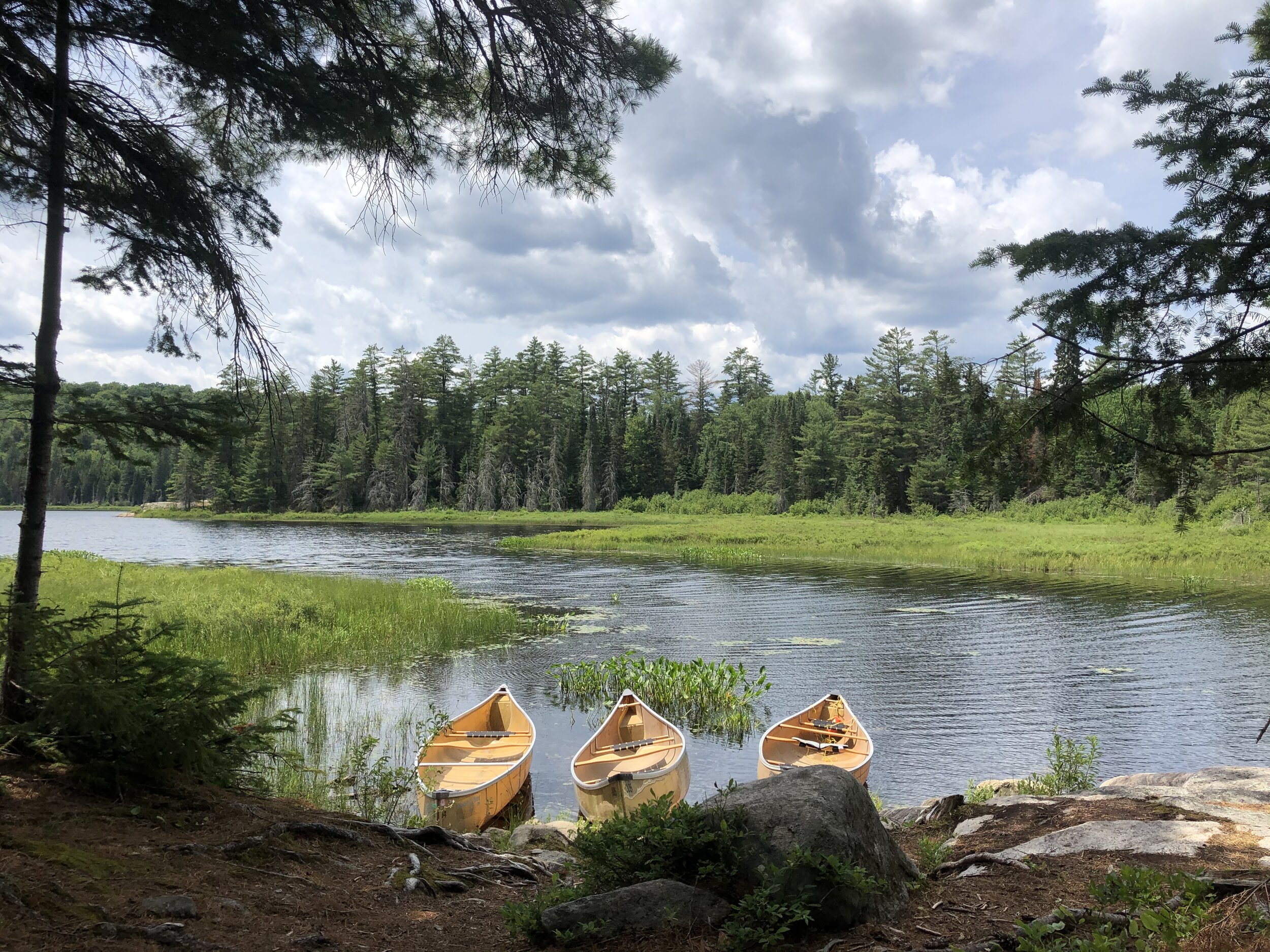 Algonquin Provincial Park