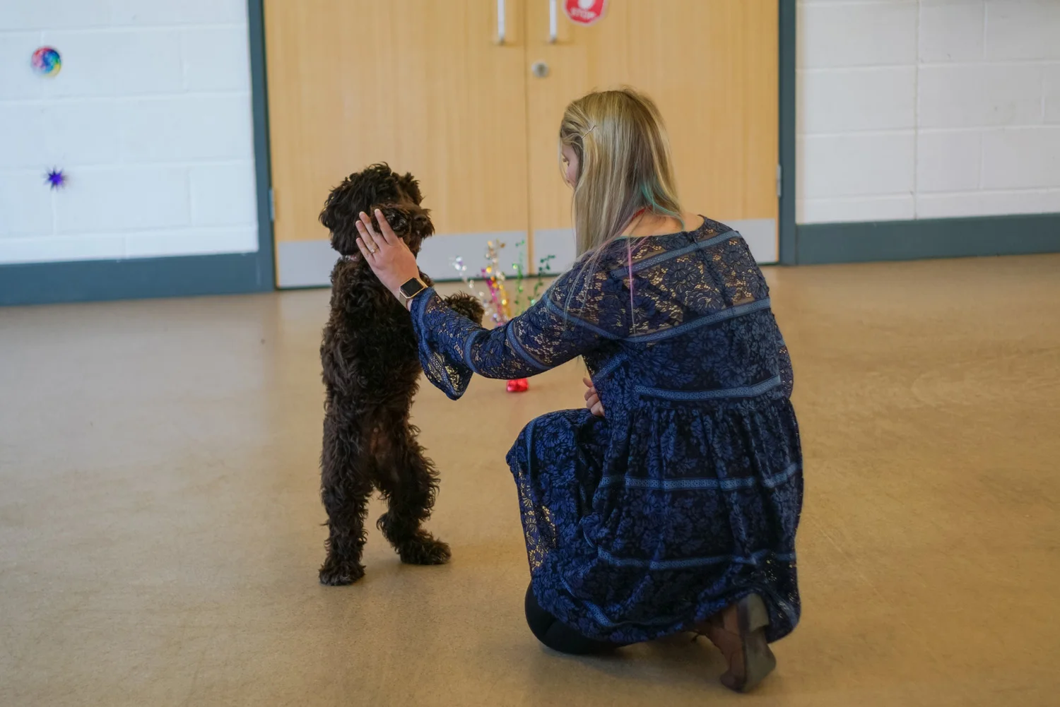 Samdais Dog Training Club & Walking Services in Kingsway, Quedgeley, Gloucestershire (60).jpg