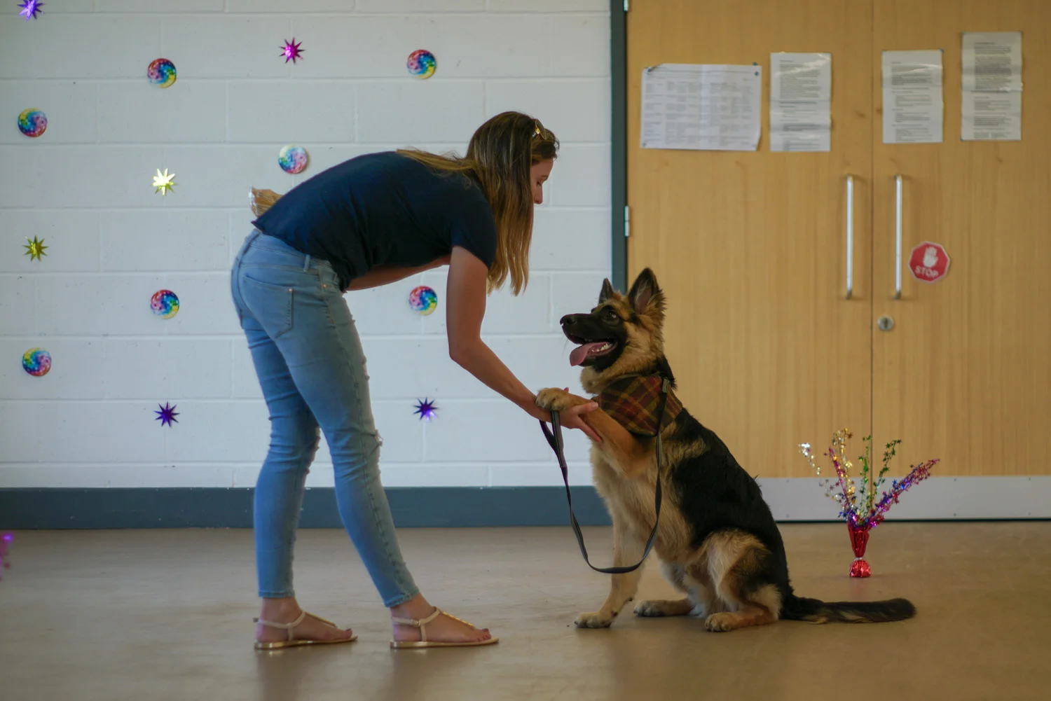 Samdais Dog Training Club & Walking Services in Kingsway, Quedgeley, Gloucestershire (64).jpg