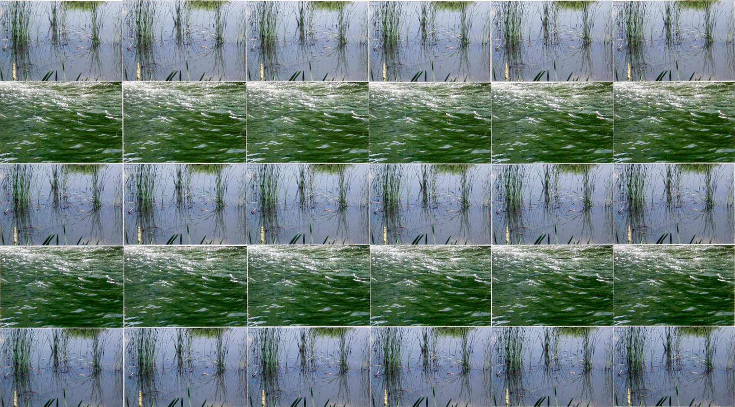 Tara Fracalossi, Archive (two from water blue/green), 2016