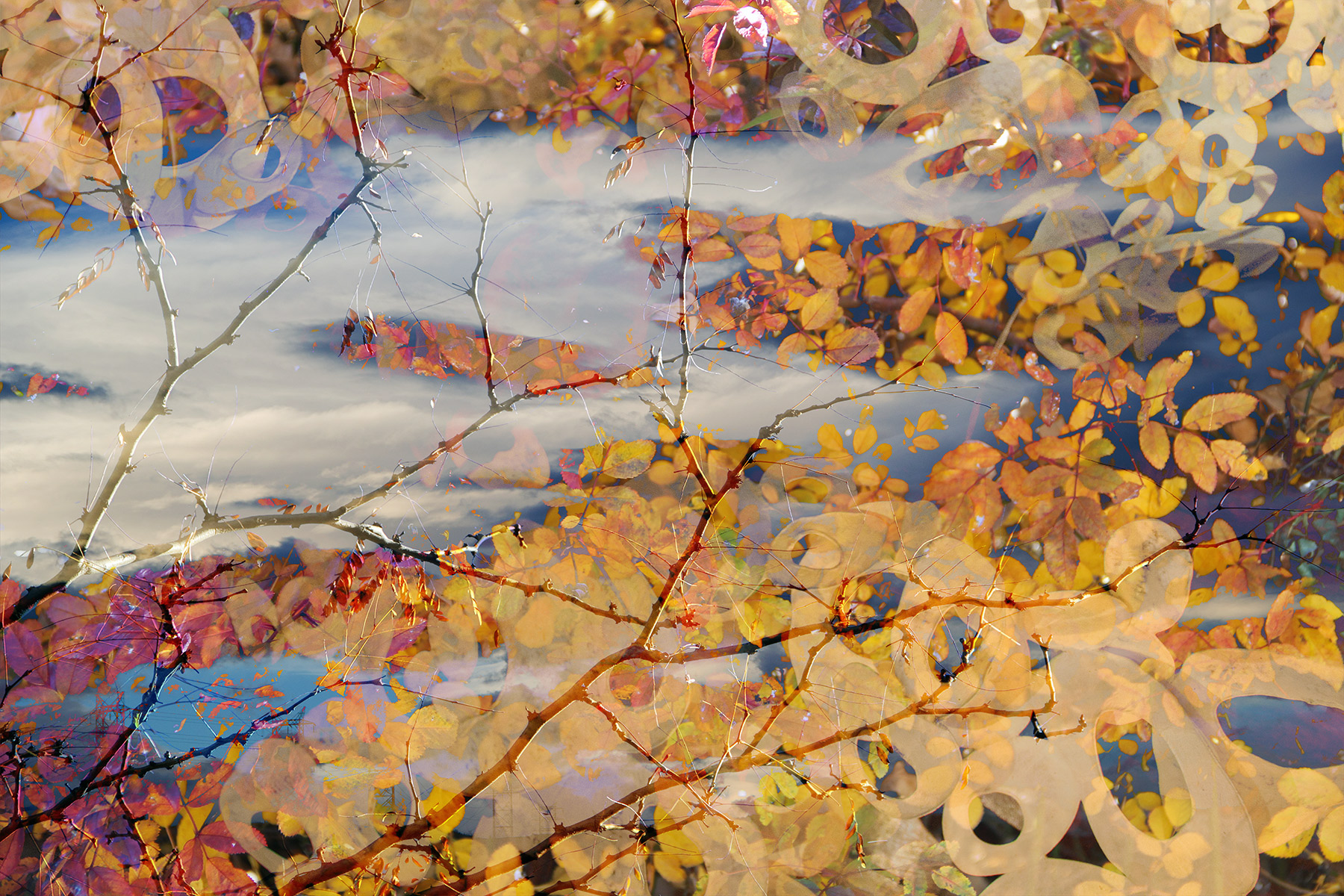 Submerged Desires