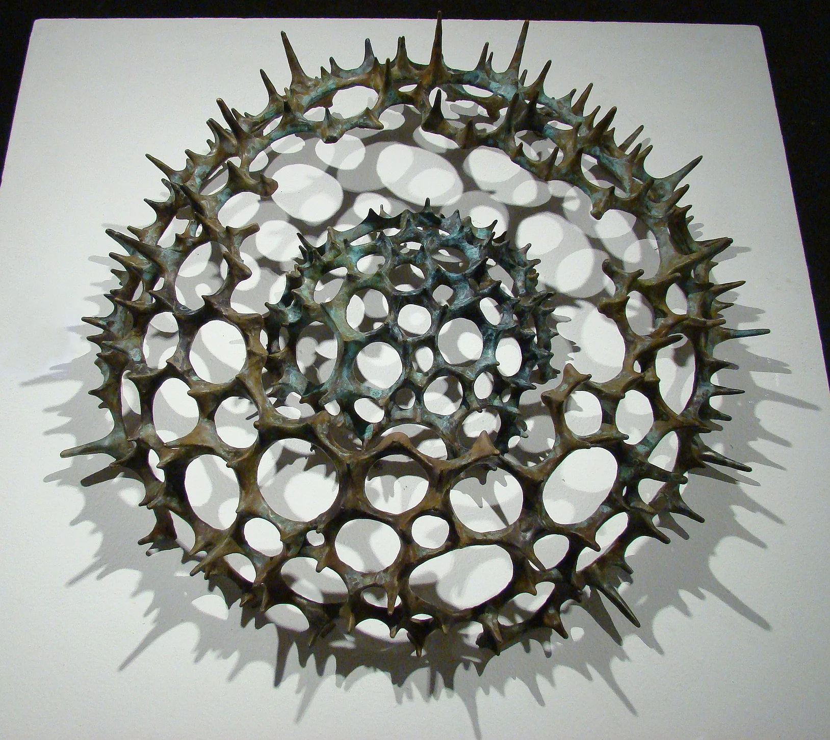 Radiolarian