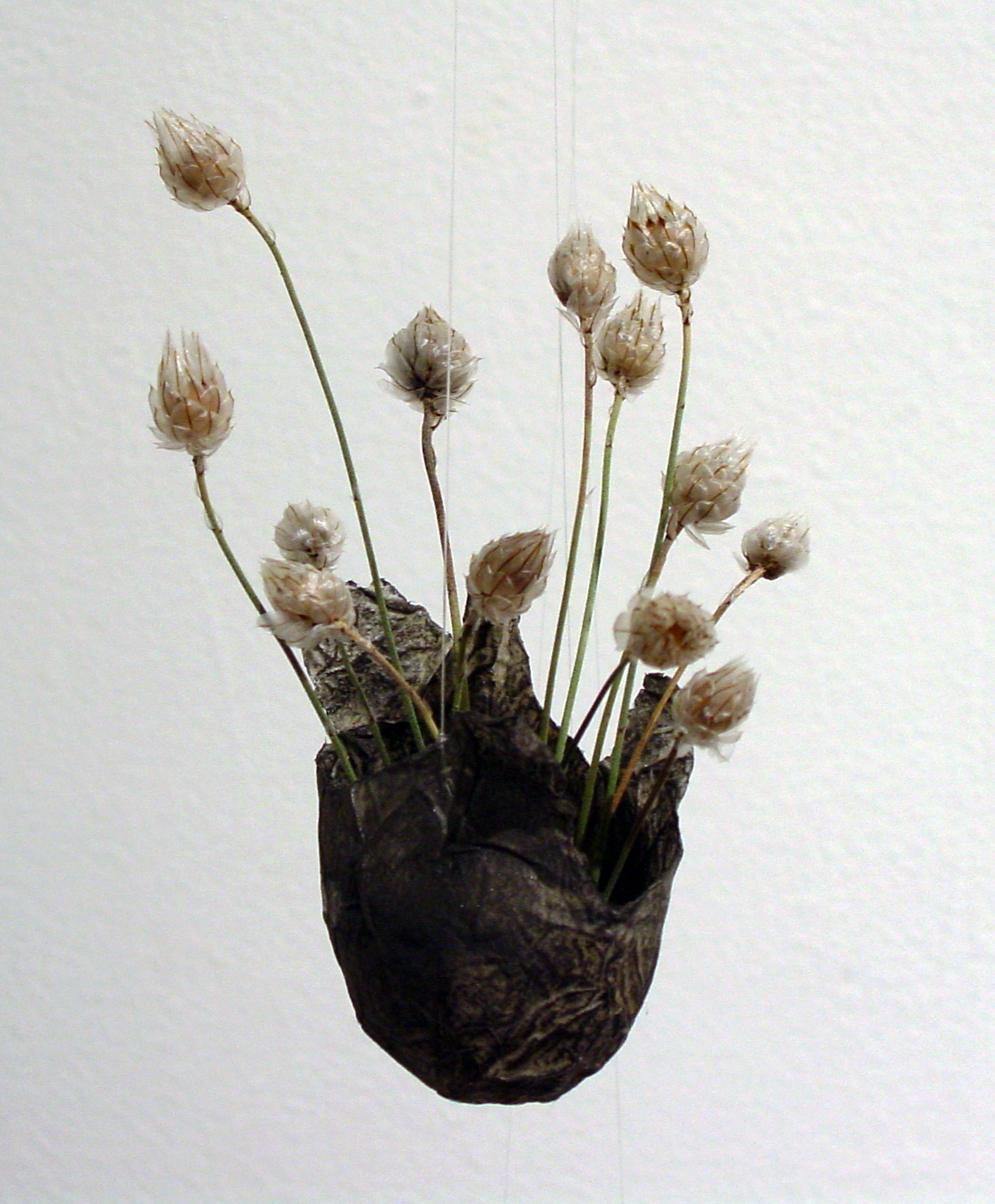 Ephemera: Bouquet in Graphite