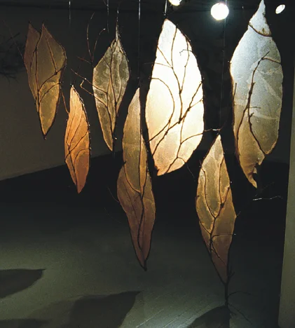 Autumn Windows