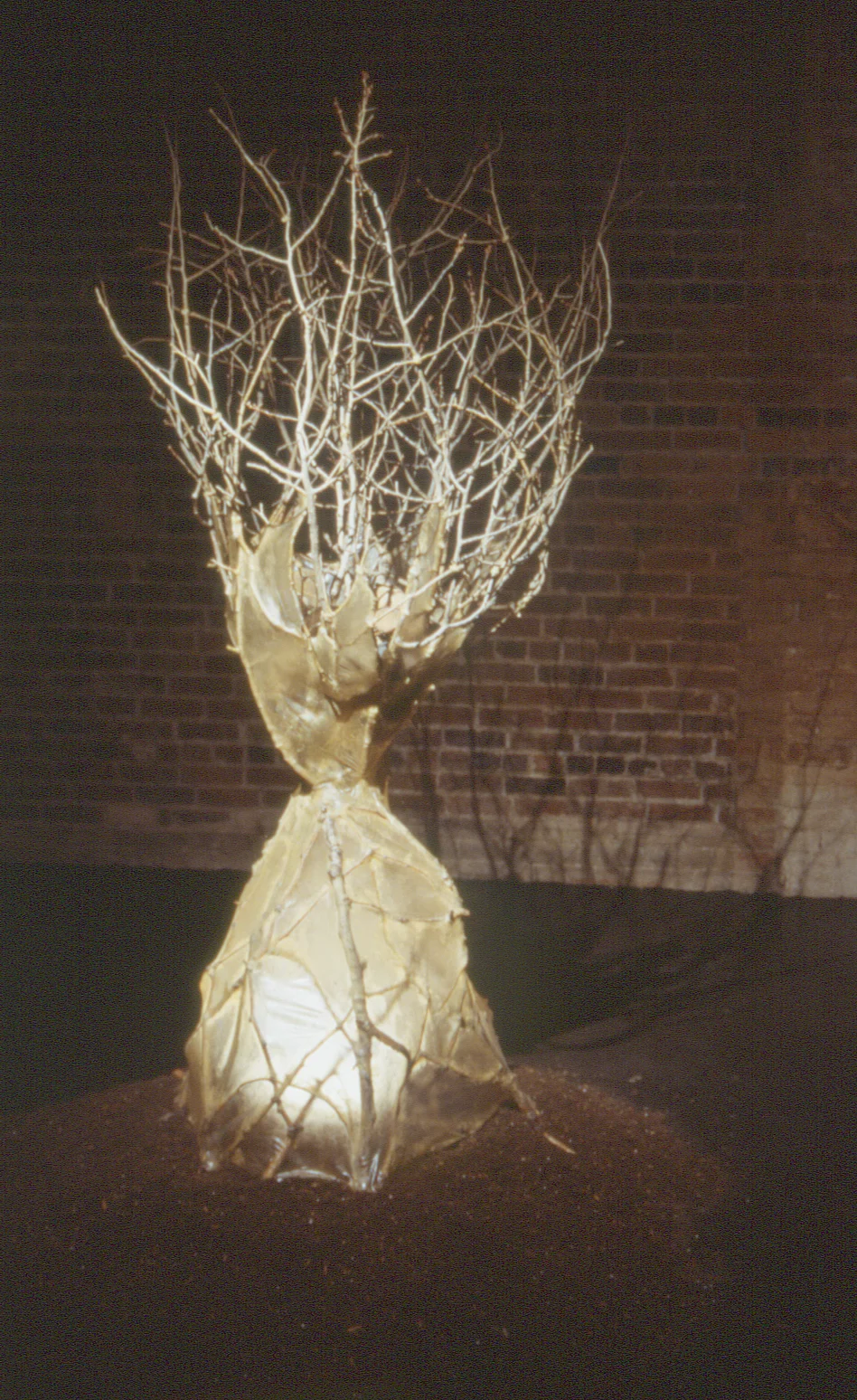 Eon Glass