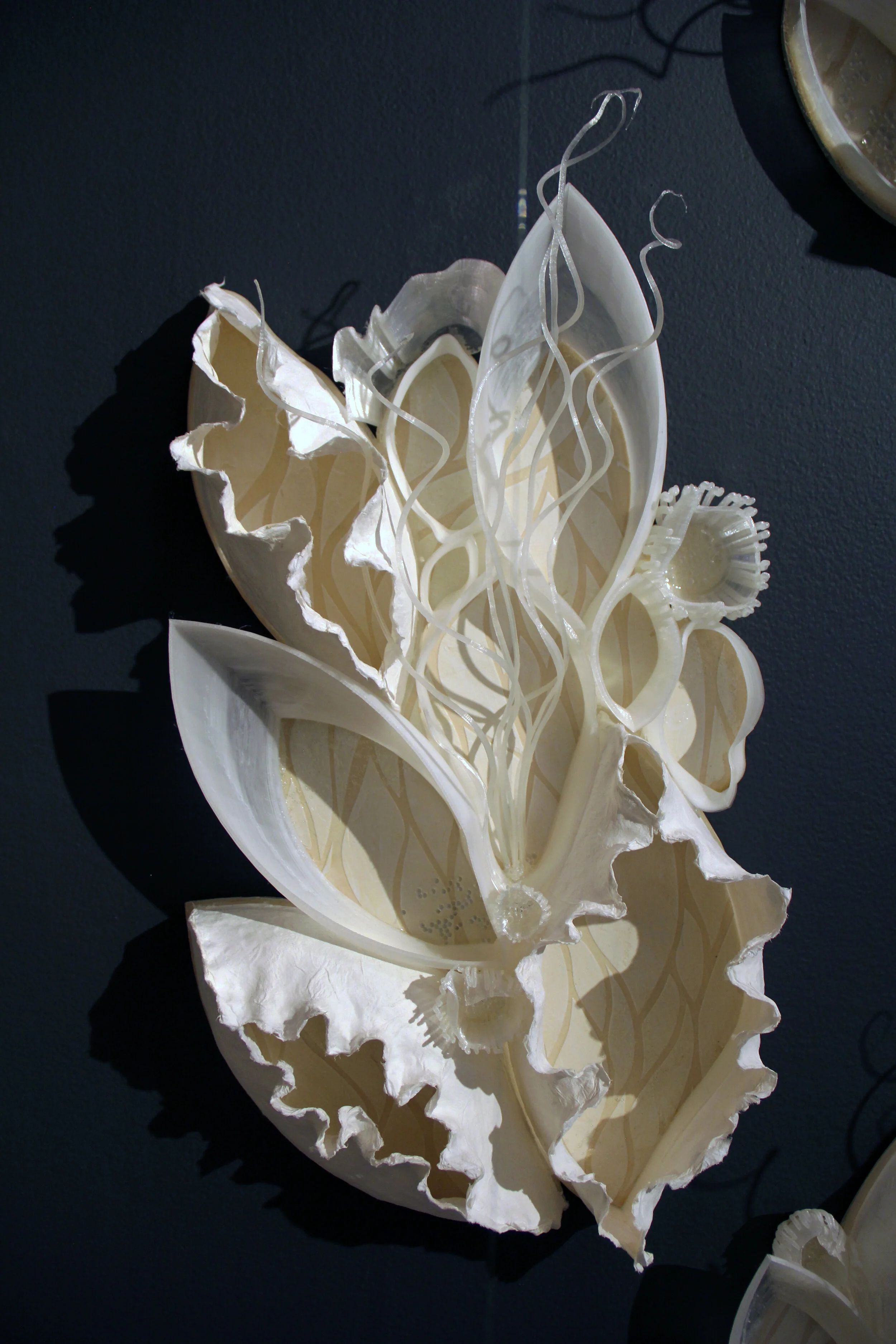 Wall piece - part of Pathogenic Logic