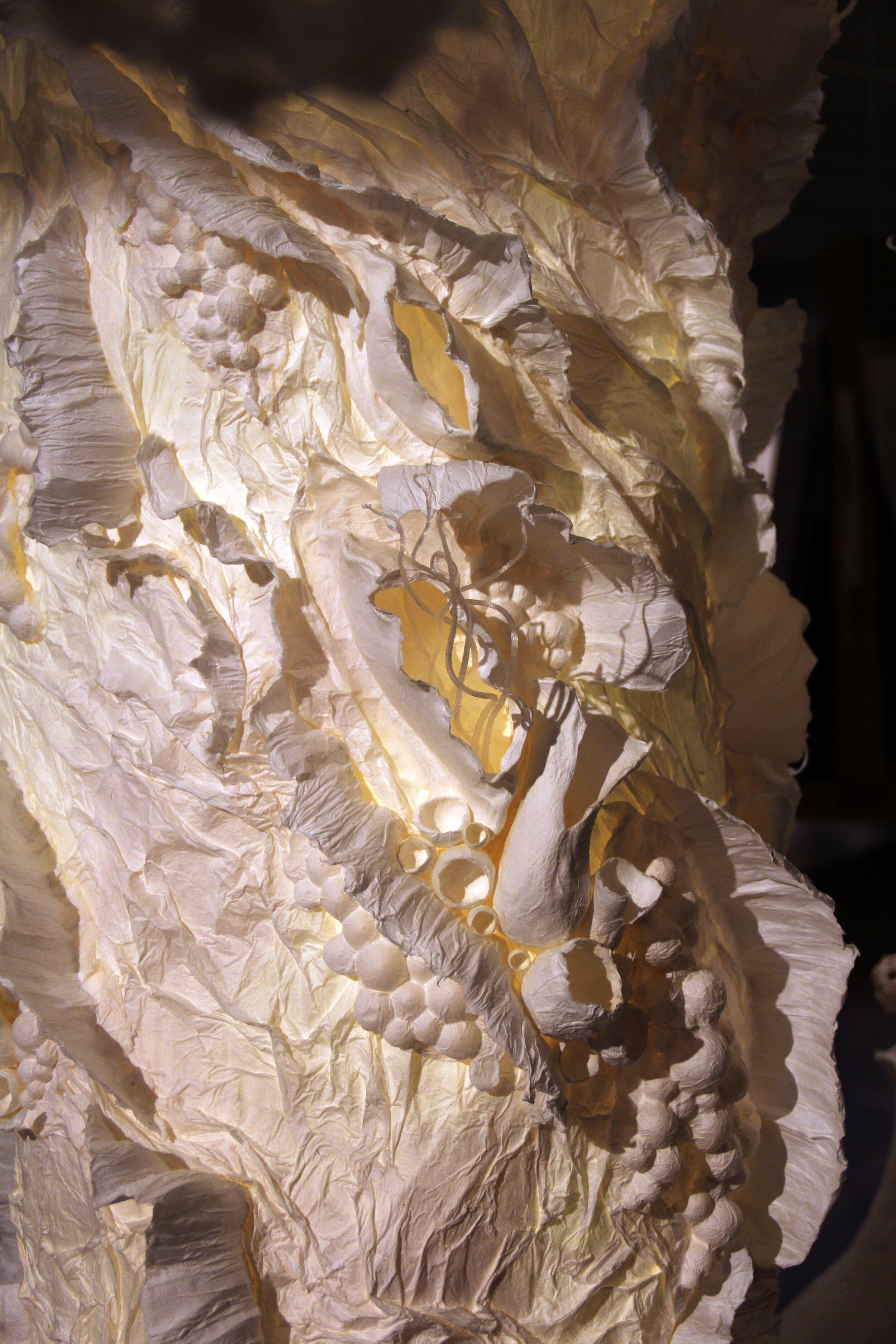 Pathogenic Logic - Detail of column