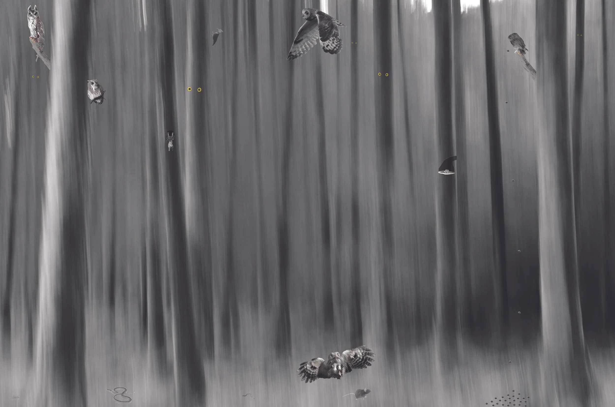 Visual Perception.jpg