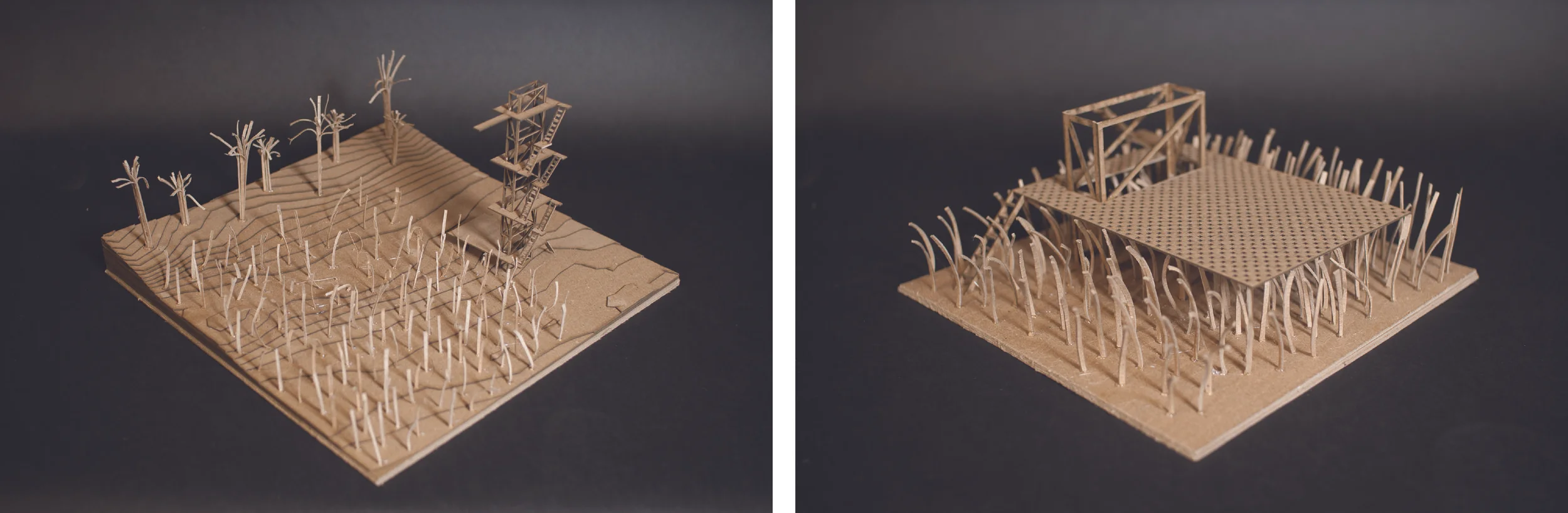 Fen Creek Models.jpg