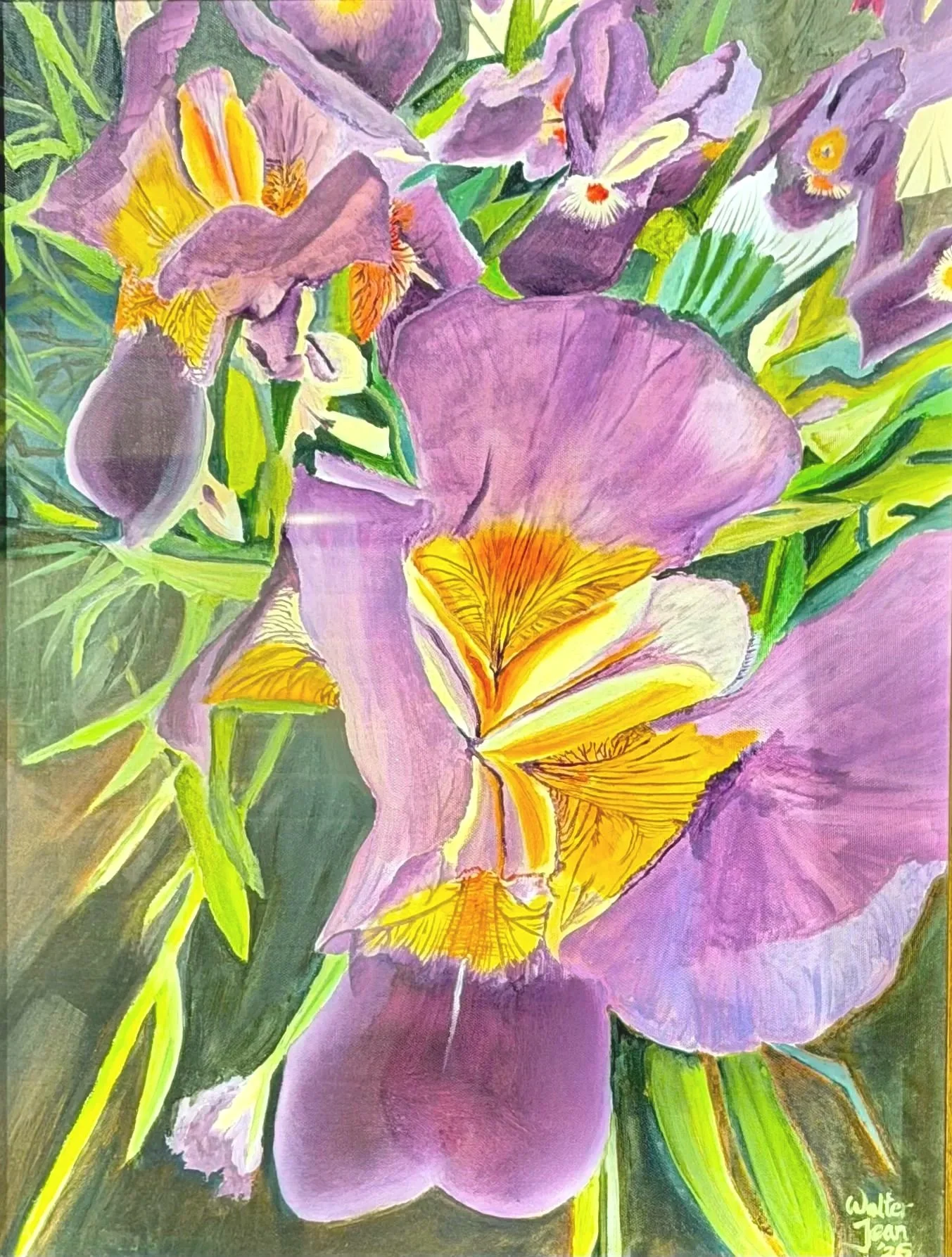 iris.jpg