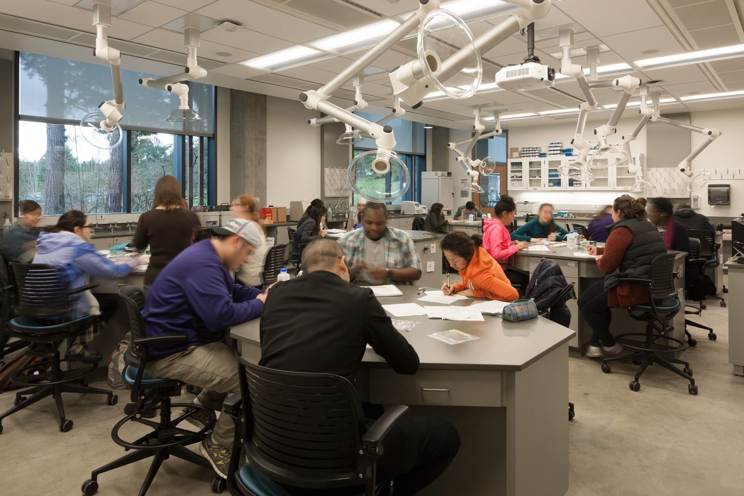 11_LS20150210_uwbothelldisc_035.jpg