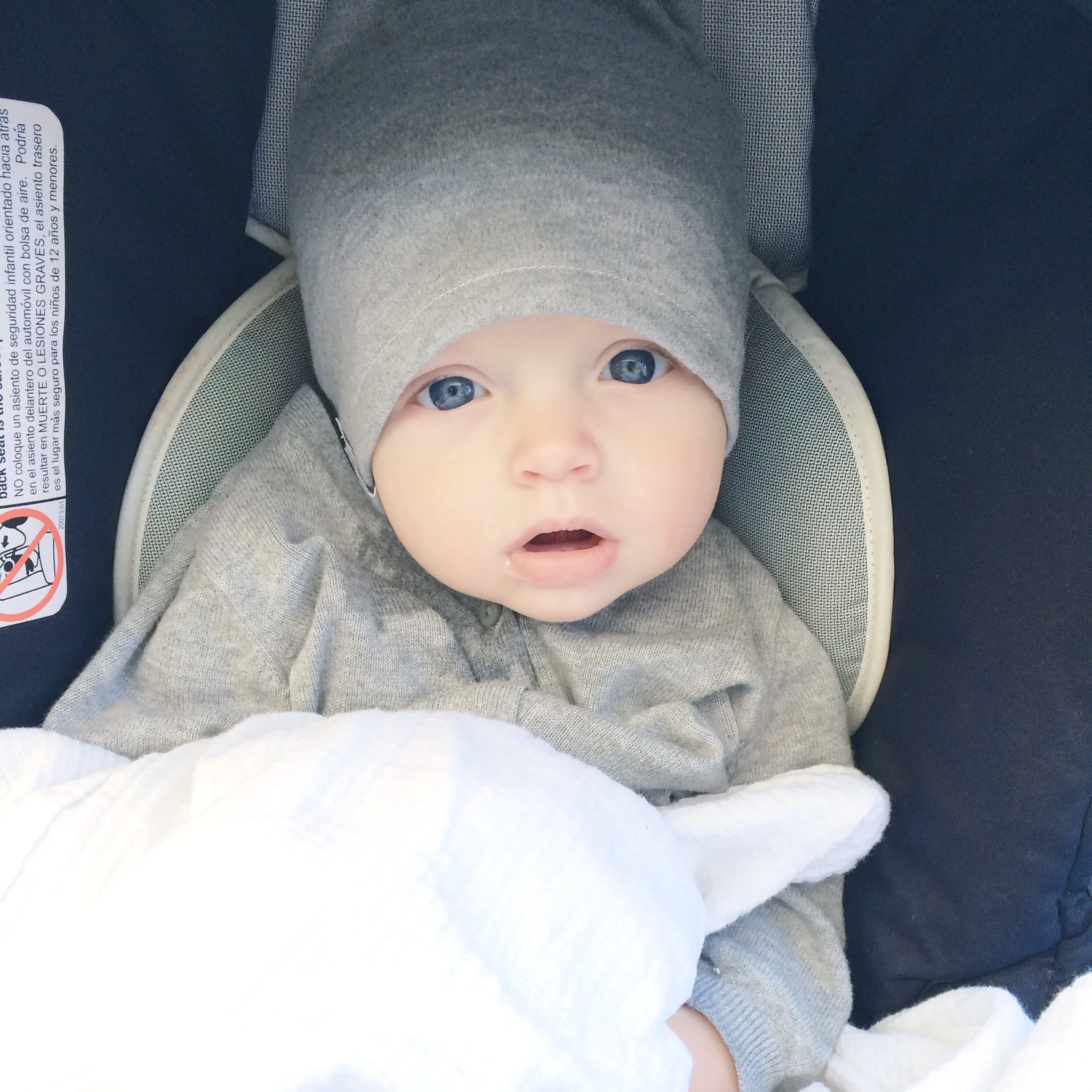 theodore's first year
