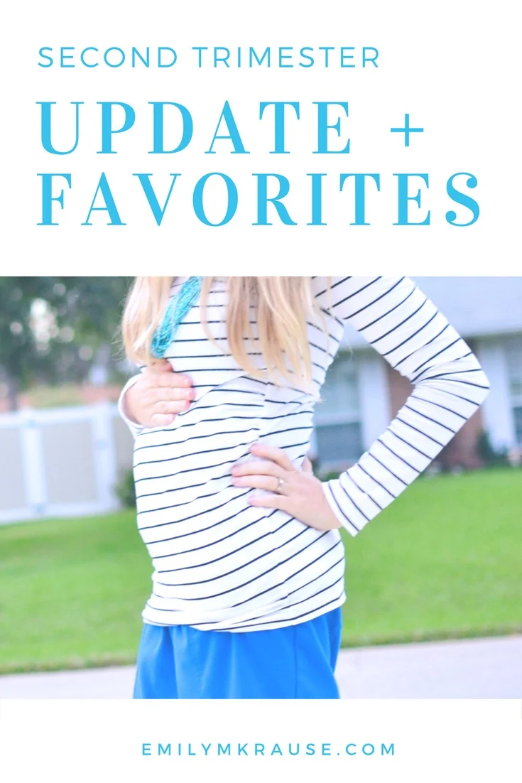 second trimester recap