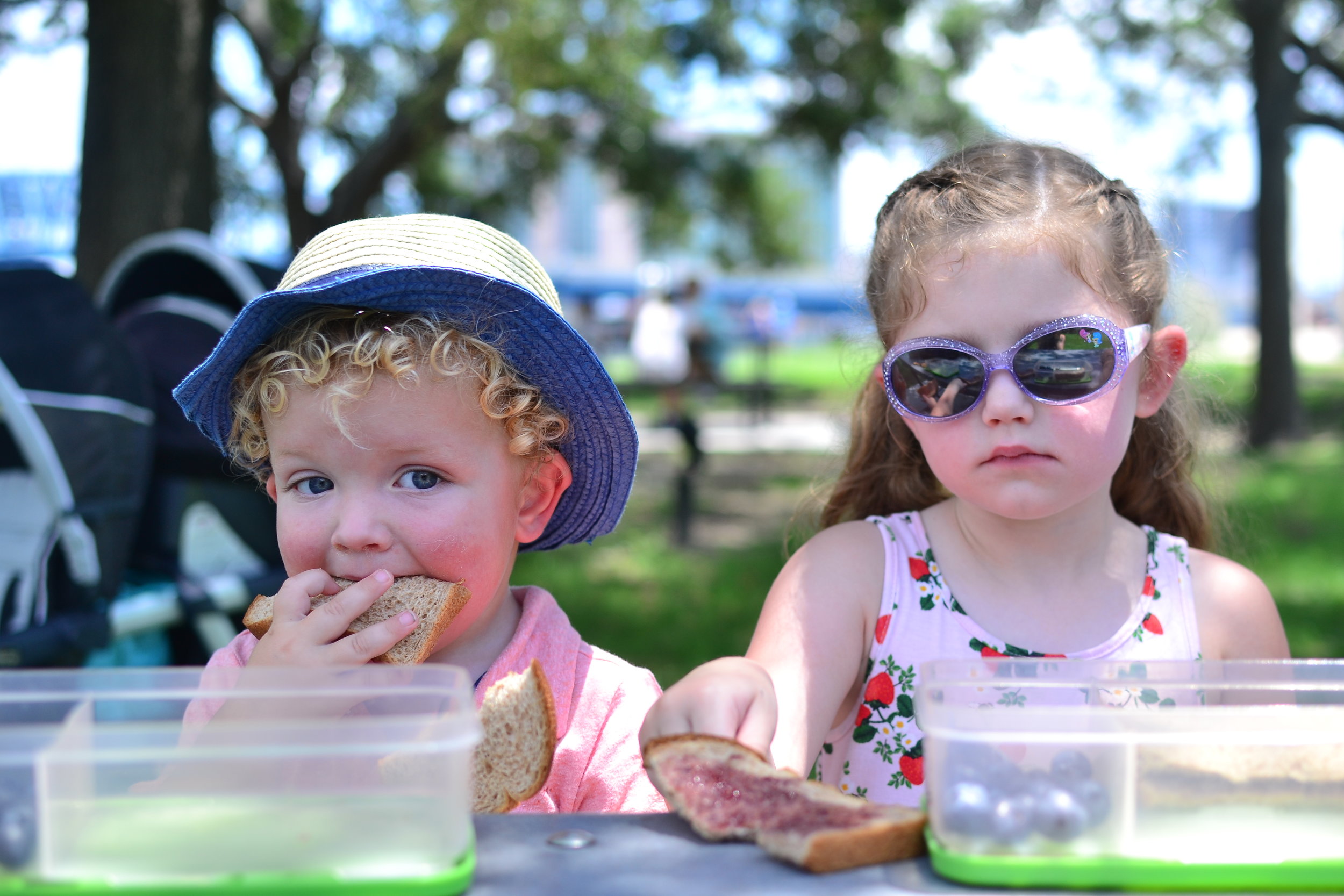 Picnic in the park!&nbsp;