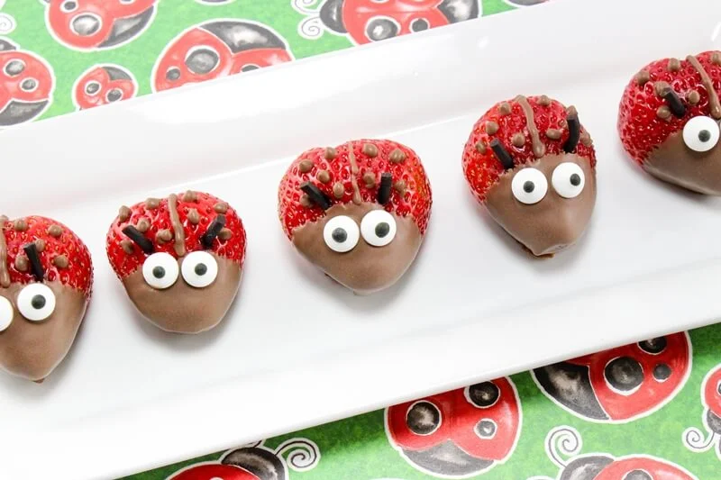 Strawberry-Ladybug-Snack-Recipe.jpg
