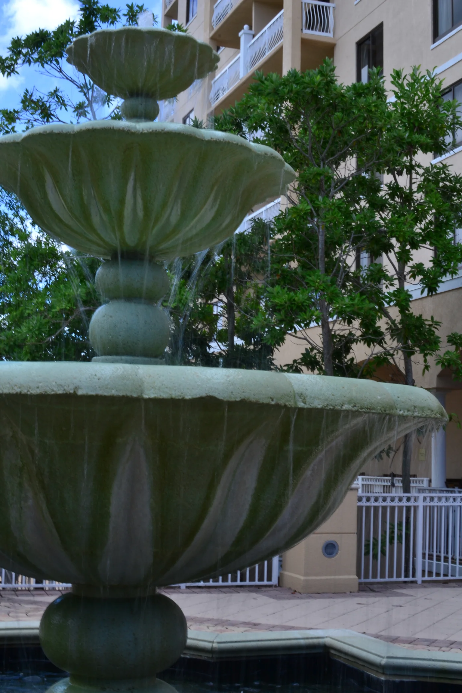 DSC_0537.jpg