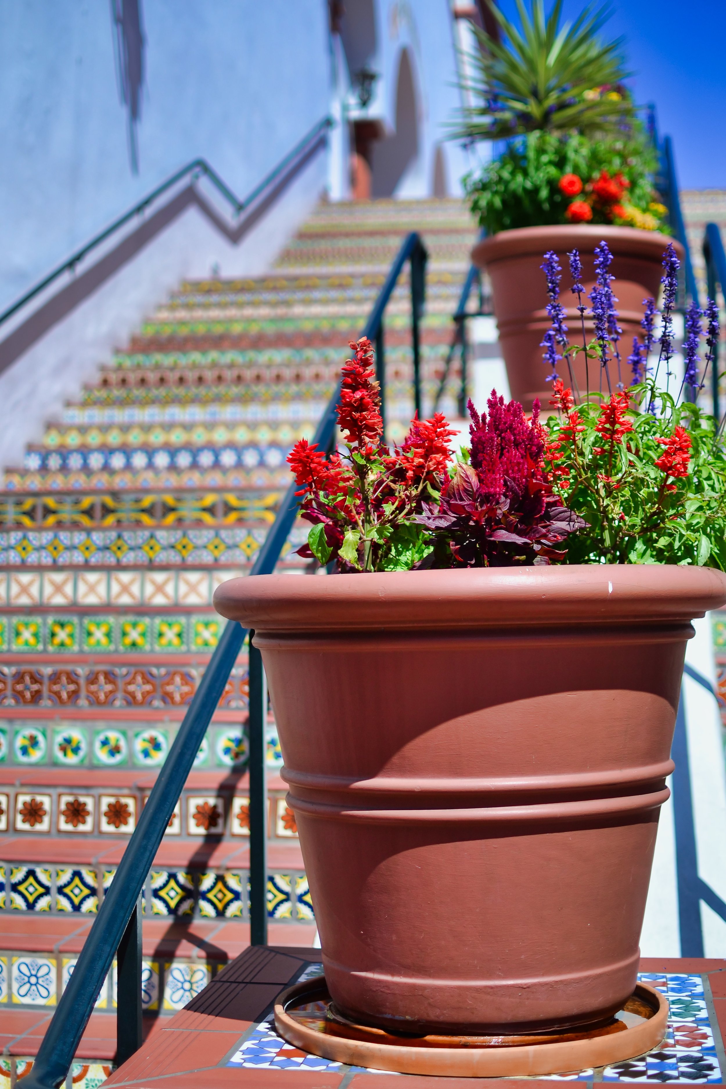 Painted Tile Stairs in Santa Barbara.jpeg