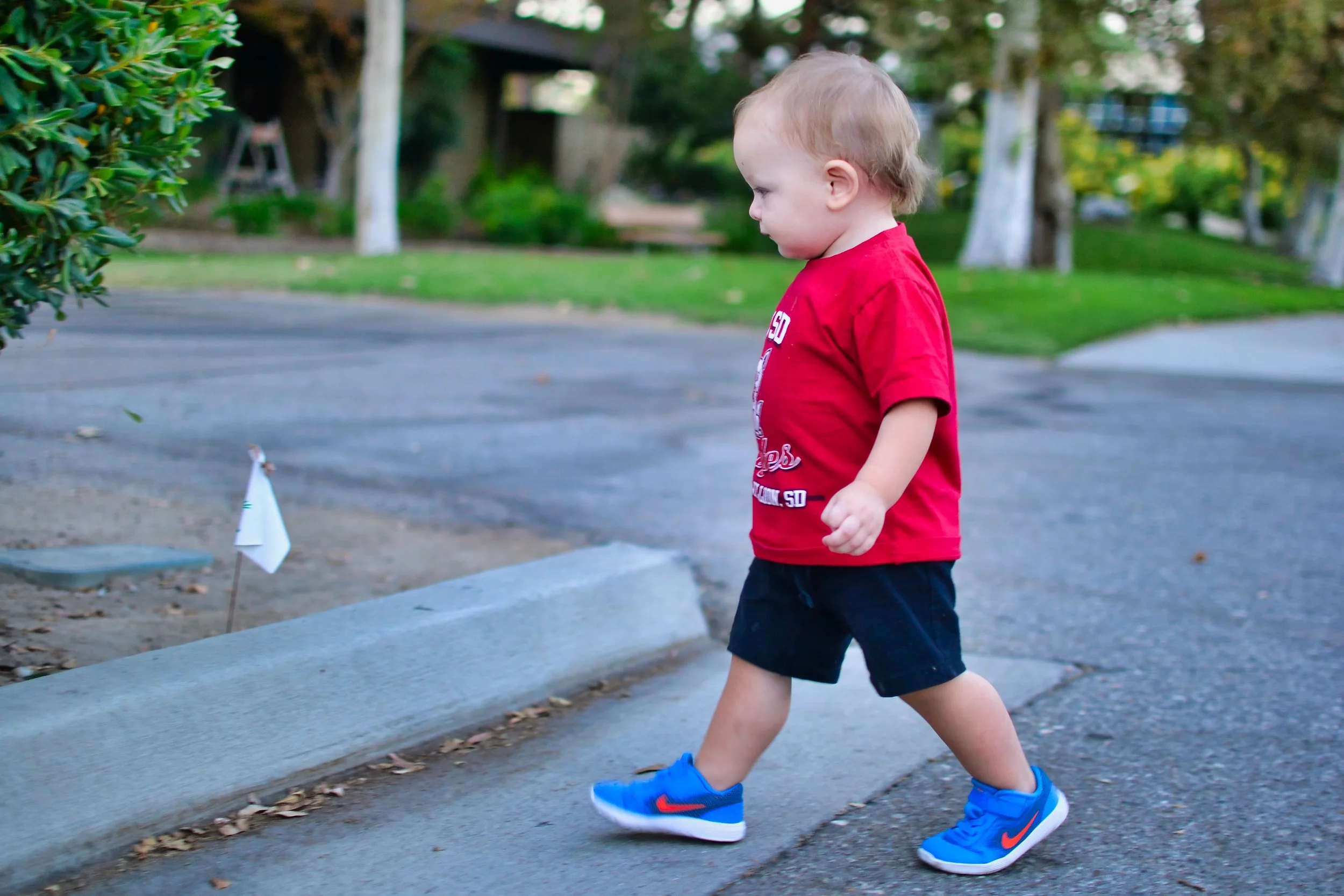 toddler exploring.jpeg
