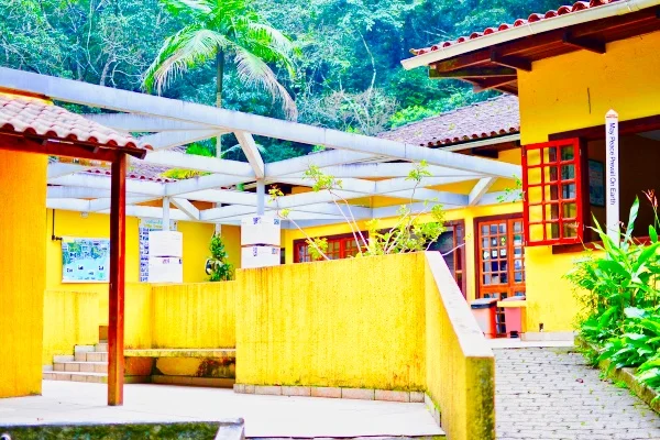 Tijuca Forest in Rio de Janeiro Brazil