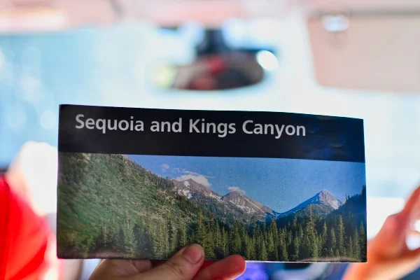 Sequoia and Kings Canyon.jpeg