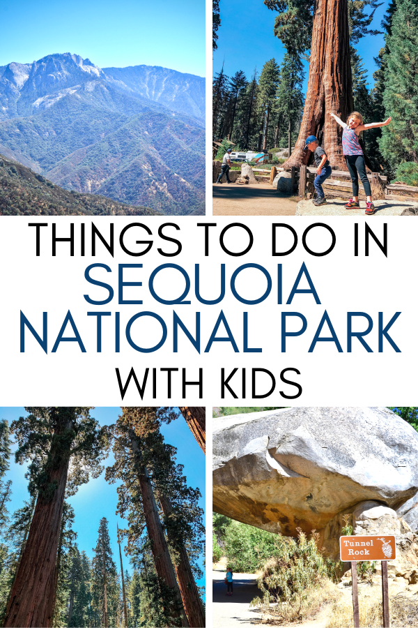 What to Do in Sequoia National Park in One Day with Kids.png