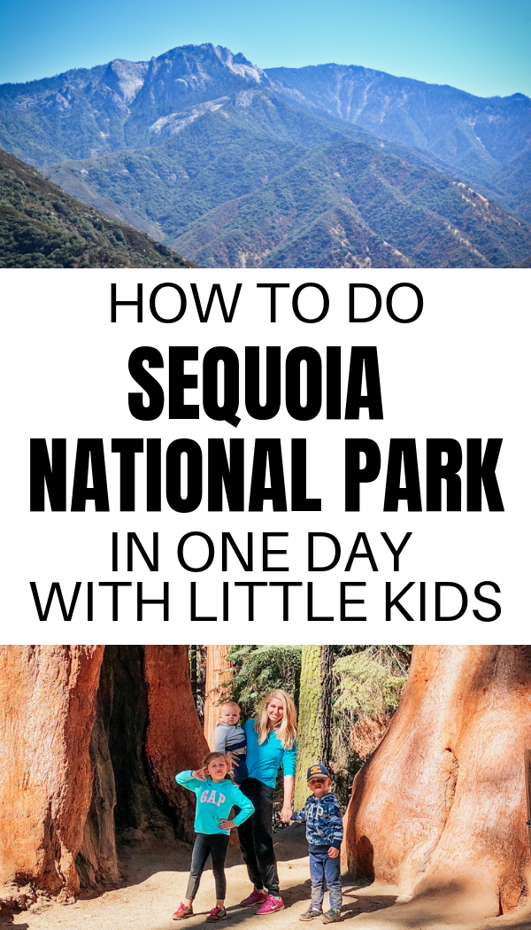 Things to do on a trip to Sequoia National Park with kids and toddlers..png