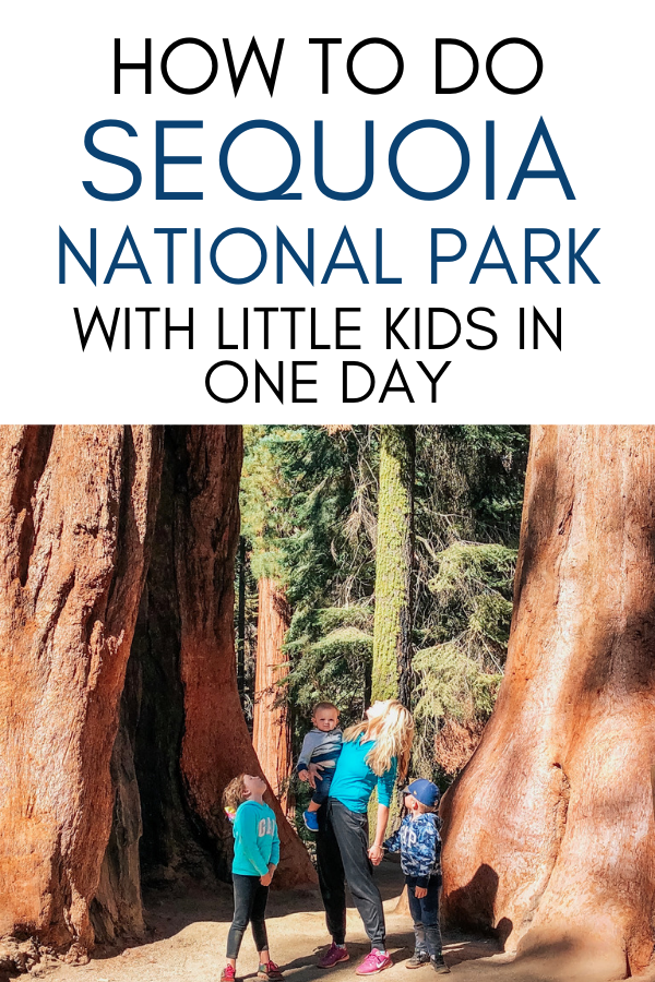 How to do Sequoia National Park with little kids in one day-2.png