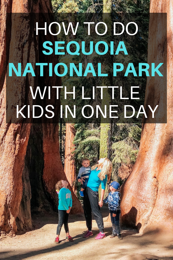 HOW TO DO SEQUOIA NATIONAL PARK WITH LITTLE KIDS IN ONE DAY.png