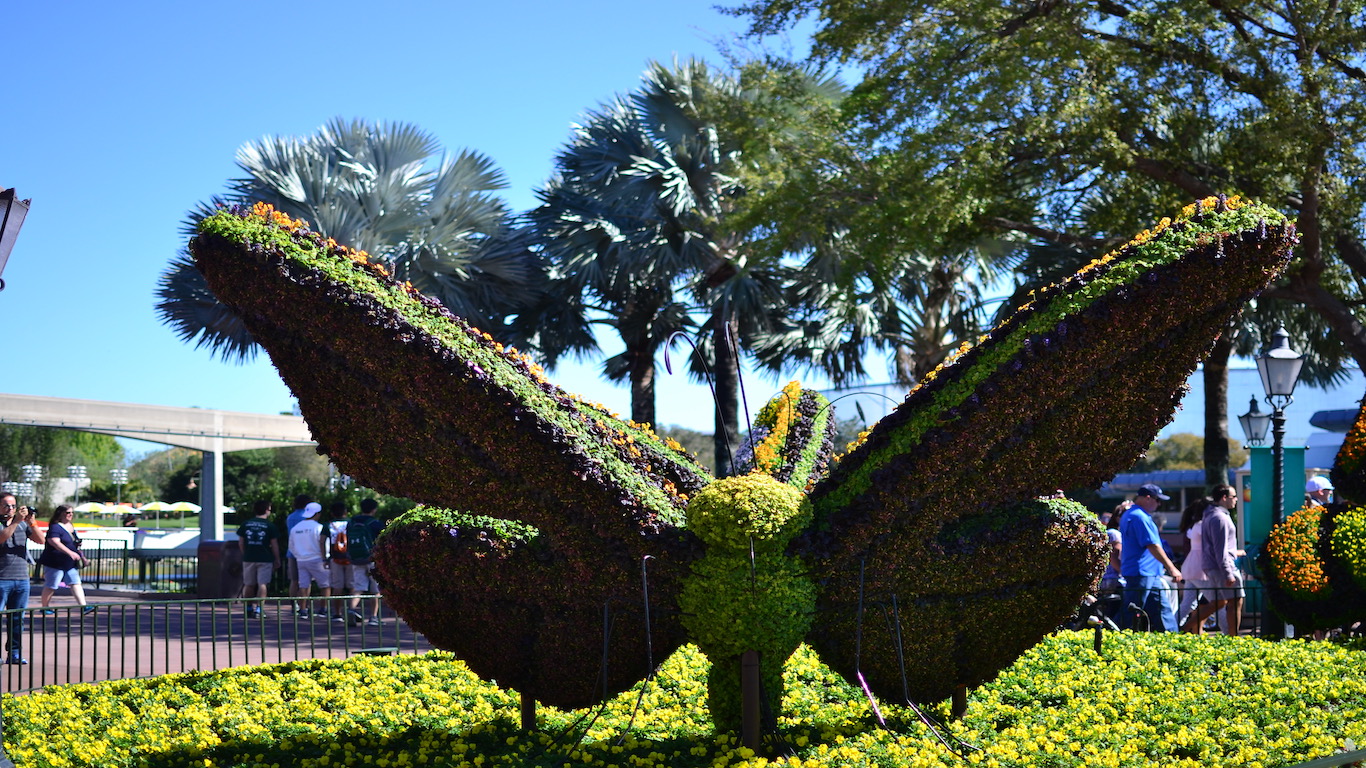 butterfly topiary.jpg