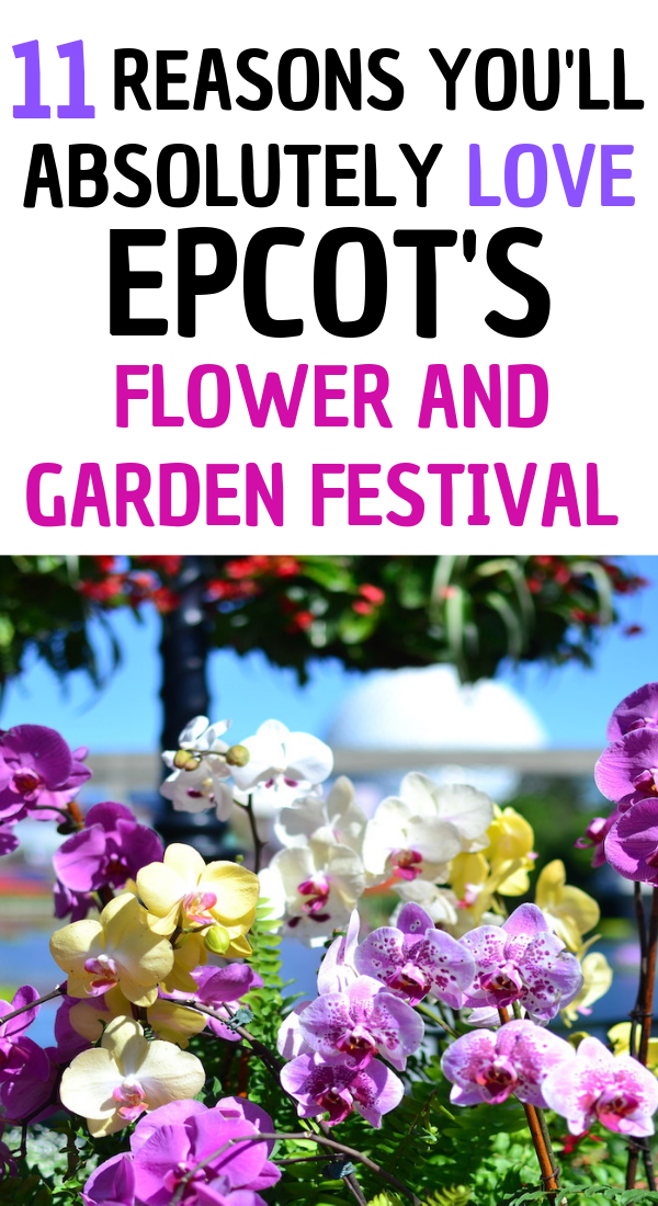 11 Reasons you'll love Epcot's Flower and Garden Festival at Disney World.png
