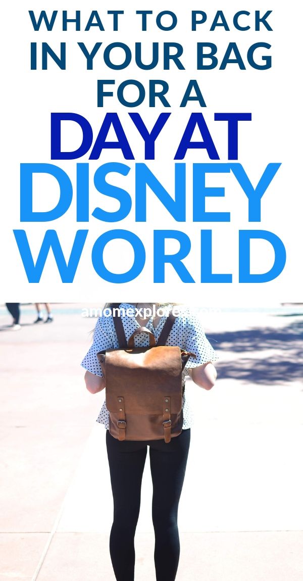 Tips for packing your day bag for Disney. If you want your long day at the theme park to run smoothly, consider these packing tips for everything you need to bring. Lots of tips for parents with babies and toddlers a.jpg
