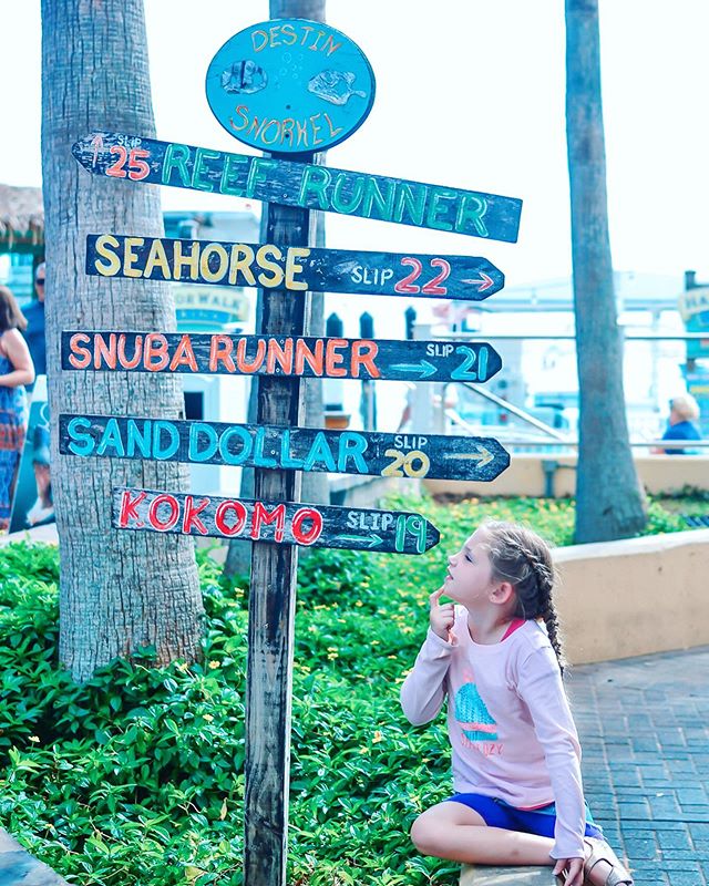 FREE OR CHEAP.

That&rsquo;s what we like to hear when we&rsquo;re planning our sightseeing activities for family travel. Admission prices can really add up quickly, especially with a larger family.

We loved HarborWalk Village in Destin because it w