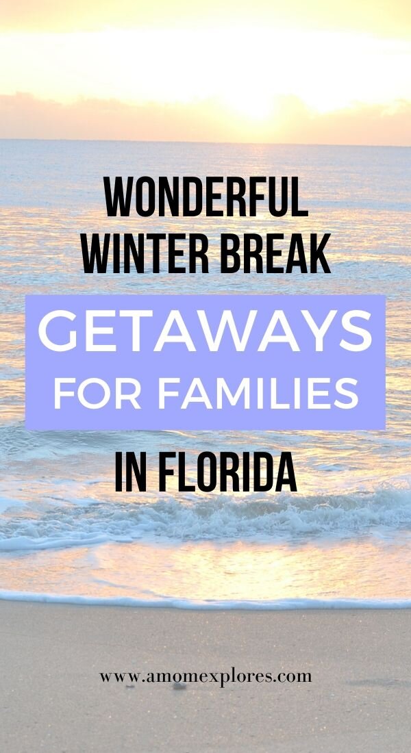 Thinking of taking a family winter spring break in Florida_ This article will share the best winter break beaches in Florida, along with family-friendly Florida destinations. Where to take your toddlers and young kid.jpg