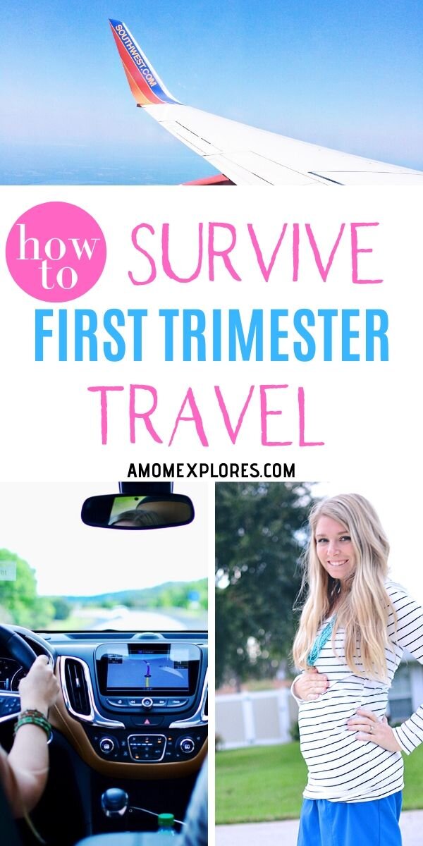 travel first trimester