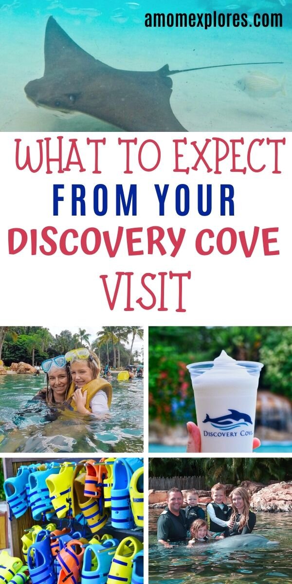 What to expect when you visit Discovery Cove Orlando. There are plenty of kid-friendly activities at Discovery Cove, even if you're visiting with toddlers. Tips for what to bring for Discovery Cove and how to prepare.jpg