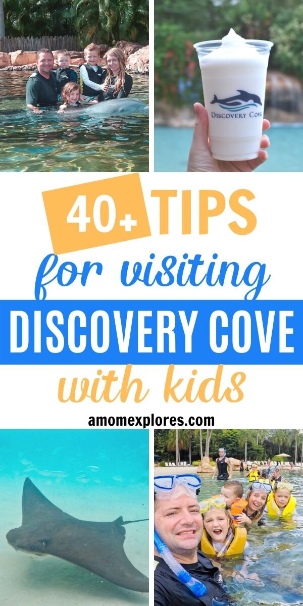 Tips for visiting Discovery Cove Orlando with little kids. Plan your day be reading about what to bring for Discovery Cove, what's included in your day at Discovery Cove, and what to know before you go..jpg