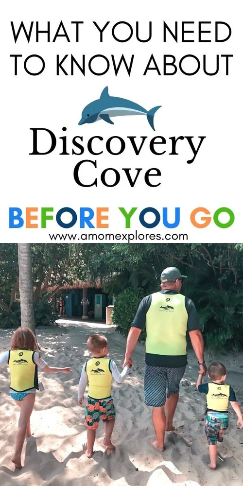 Can I Take Beach Toys to Discovery Cove: Essential Tips Revealed