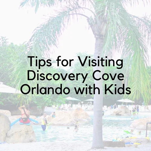 Can I Take Beach Toys to Discovery Cove: Essential Tips Revealed