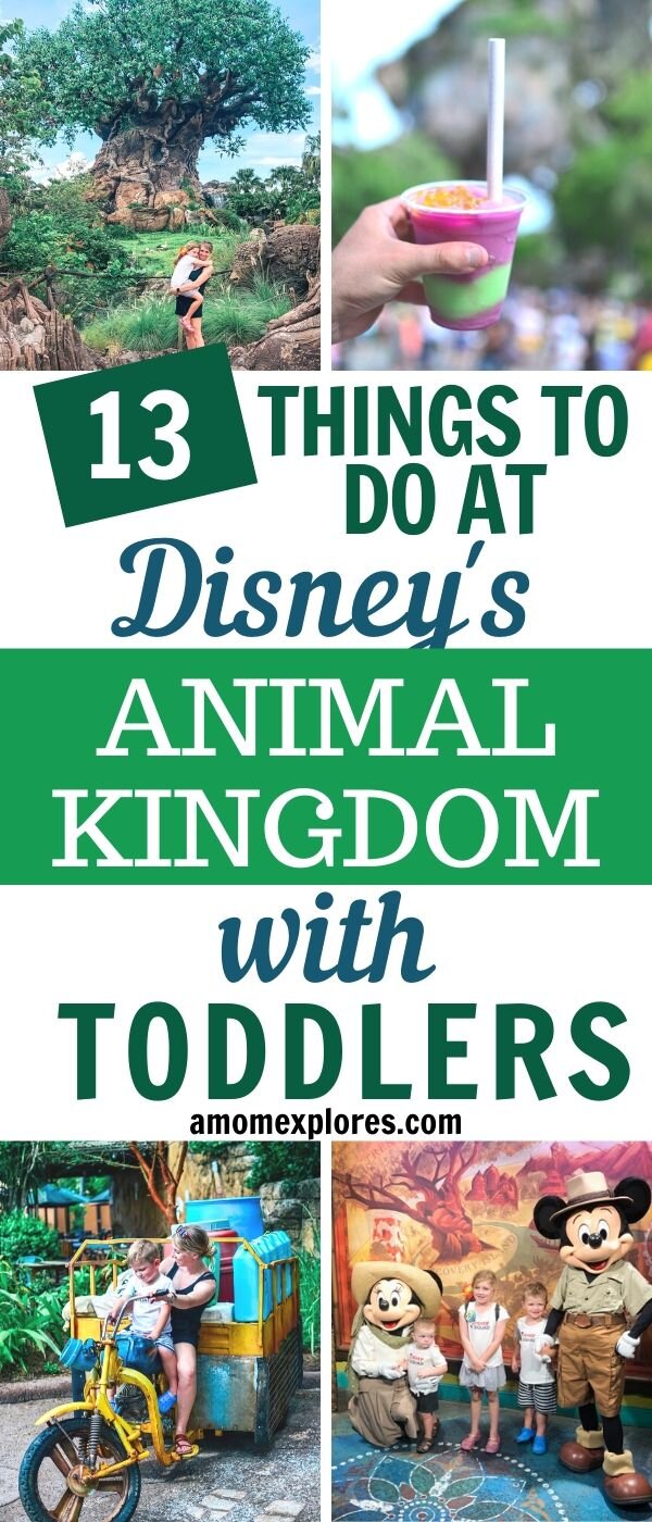 What to Do at Disney's Animal Kingdom with Toddlers — A Mom Explores |  Family Travel Tips, Destination Guides with Kids, Family Vacation Ideas,  and more!