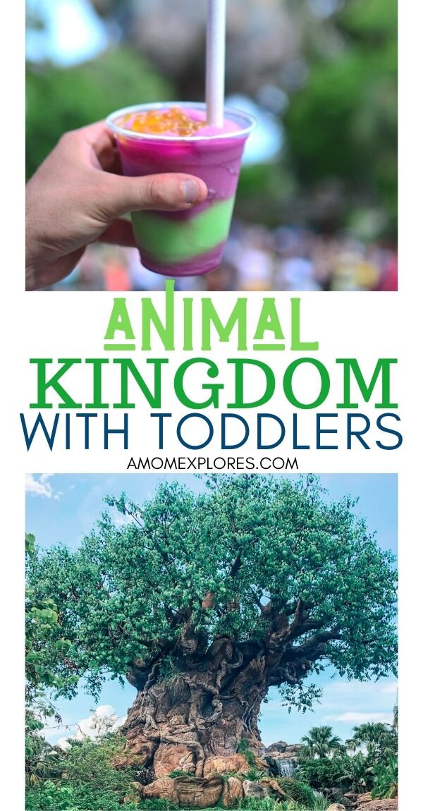 13 toddler-friendly activities at Disney's Animal Kingdom, plus lots of tips for doing Disney with a 1 or 2-year-old! Little kids love Animal Kingdom for the shows, rides, and characters. Here are the best things to .jpg