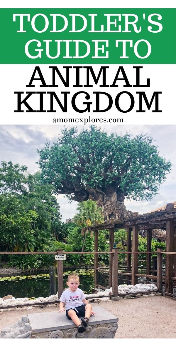 The toddler's guide to Disney's Animal Kingdom. This Disney park is so much fun for little ones with animals and nature as the focus of rides and shows. Here's what to do at Animal Kingdom with 1- and 2-year-olds and (1).jpg