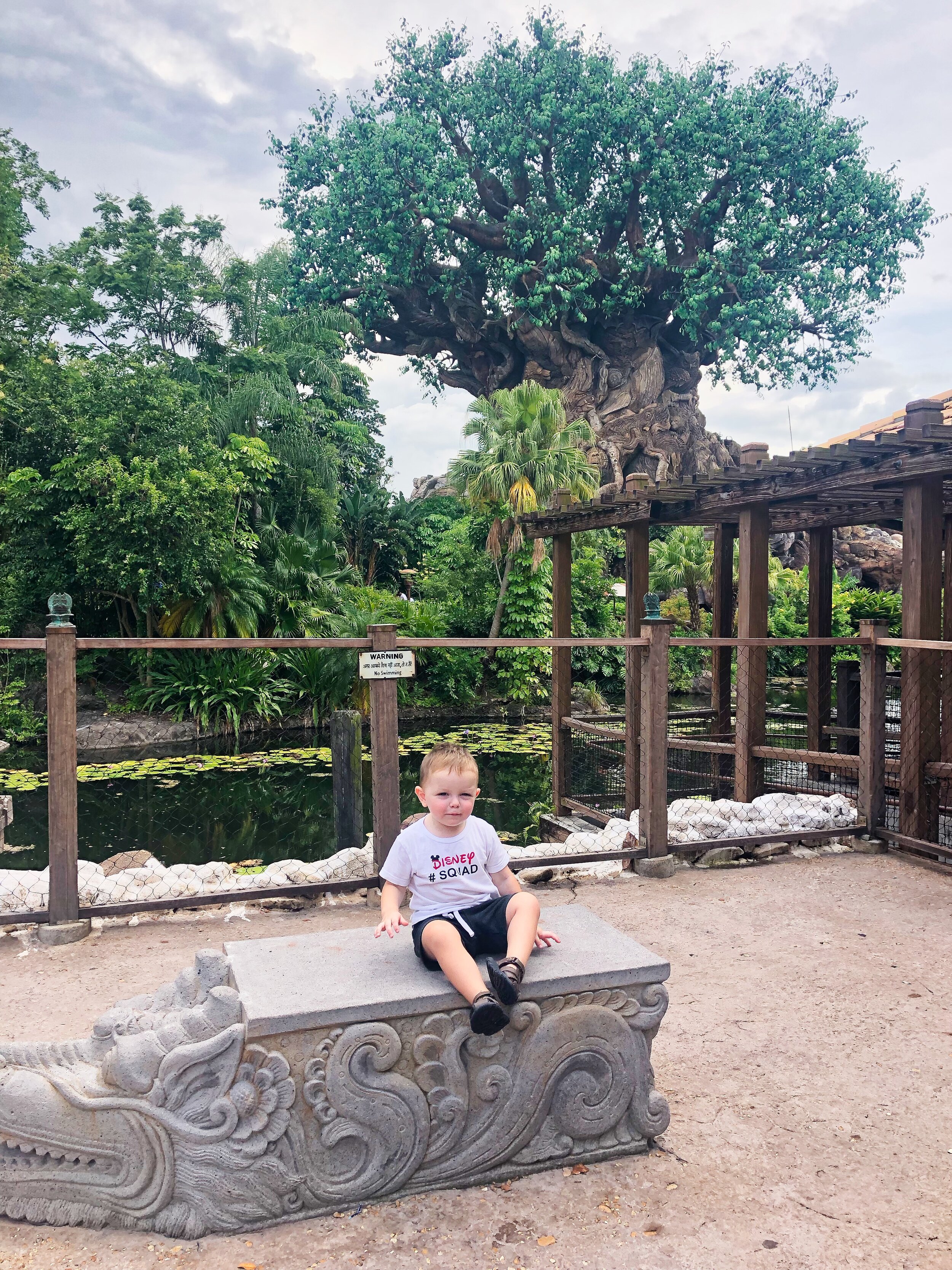 toddler's guide to animal kingdom.jpeg