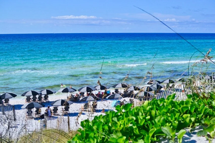 Download Beachy kueche For iPhone Free Beachy Kueche