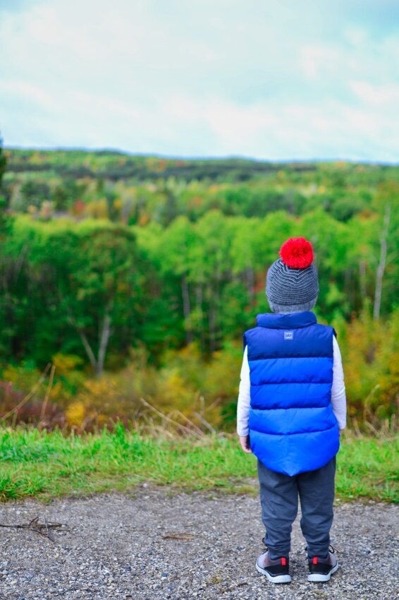 boy looking at fall colors marinette county wisconsin.jpeg